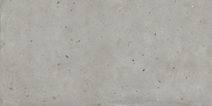 Авангард Сильвер