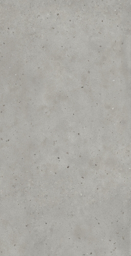 Авангард Сильвер